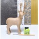 Rudolph Reindeer Kit